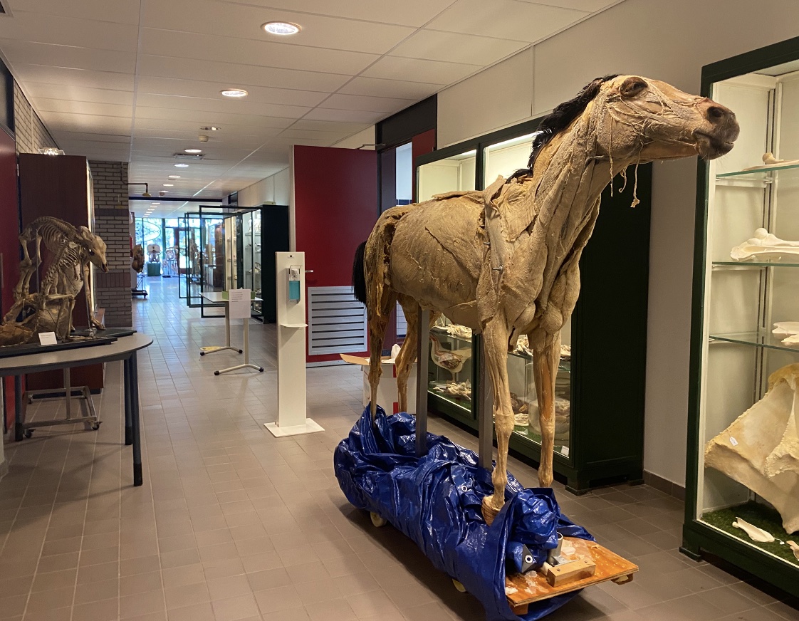 Haalbaarheidsonderzoek nieuwbouw faculteit diergeneeskunde, Universiteit Utrecht